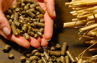 free Long Load biomass boiler quotes